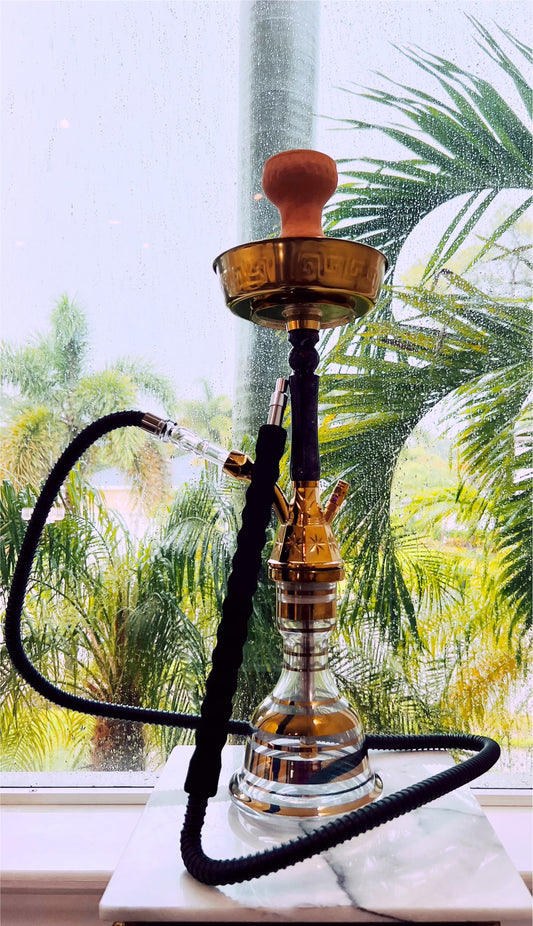 Golden Egyptian Z Single Hose Hookah with Carrying Case